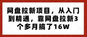 网盘拉新项目，从入门到精通，靠网盘拉新3个多月搞了16W-威云科技 余香的脑洞
