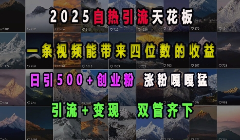 2025自热引流天花板，一条视频能带来四位数的收益，引流+变现双管齐下，日引500+创业粉，涨粉嘎嘎猛-威云科技 余香的脑洞