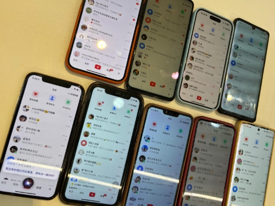 首发揭秘小红书私域日引500+创业粉四大模板,月入过W+全程干货!没有废话!保姆教程!-威云科技 余香的脑洞