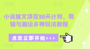 小说推文项目38天计划，剪辑与搬运多种玩法教程-威云科技 余香的脑洞