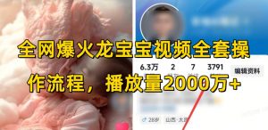 全网爆火龙宝宝视频全套操作流程，播放量2000万+-威云科技 余香的脑洞