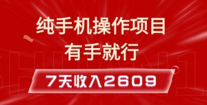 纯手机操作的小项目,有手就能做,7天收入2609+实操教程【揭秘】-威云科技 余香的脑洞