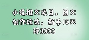 小说推文项目，图文创作玩法，新手10天挣3000-威云科技 余香的脑洞