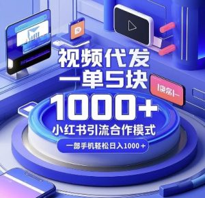 视频代发，一单5块，小红书引流合作模式，一部手机轻松日入多张【揭秘】-威云科技 余香的脑洞