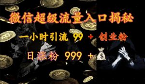 微信超级流量入口揭秘：一小时引流 99 + 创业粉，日涨粉 999 +-威云科技 余香的脑洞