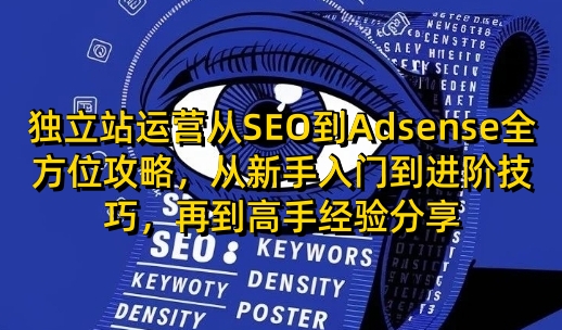独立站运营从SEO到Adsense全方位攻略，从新手入门到进阶技巧，再到高手经验分享-威云科技 余香的脑洞