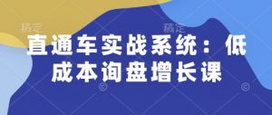 直通车实战系统:低成本询盘增长课,让个人通过技能实现升职加薪,让企业低成本获客,订单源源不断-威云科技 余香的脑洞