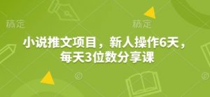 小说推文项目，新人操作6天，每天3位数分享课-威云科技 余香的脑洞