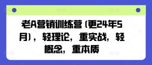 老A营销训练营(更25年1月)，轻理论，重实战，轻概念，重本质-威云科技 余香的脑洞