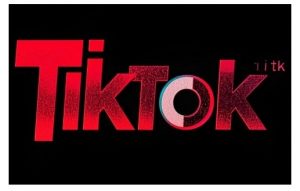 TikTok ads投流秘籍,涵盖tiktok整体投放思路,教你搭建测试计划-威云科技 余香的脑洞