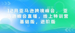 12月亚马逊跨境峰会， 亚马逊峰会直播，线上特训营基础版，进阶版-威云科技 余香的脑洞