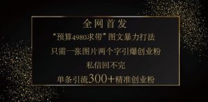 小红书神奇图片引流法，只需一张图，就能单条笔记凭借此方法，轻松引流 300 + 精准创业粉-威云科技 余香的脑洞
