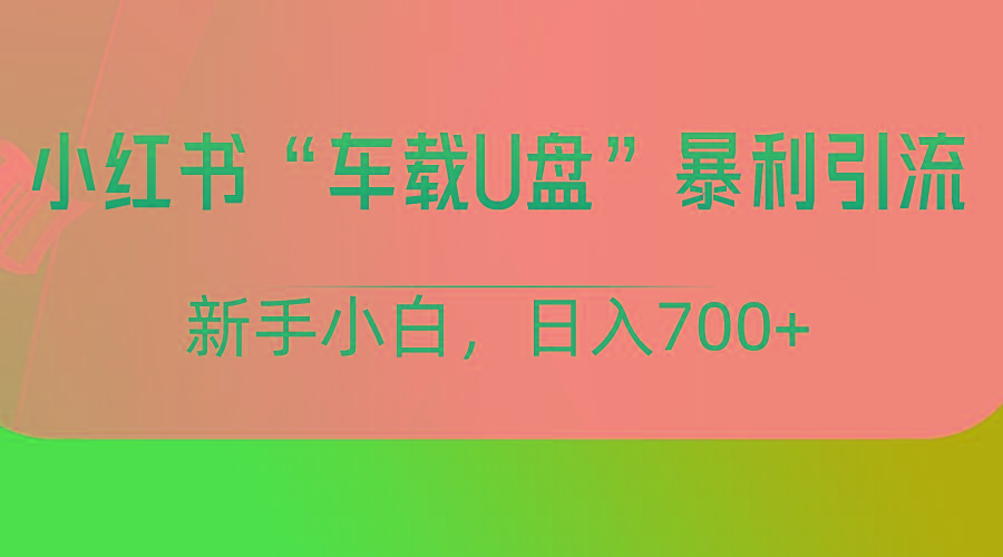 小红书“车载U盘”项目,暴利引流,新手小白轻松日入700+-威云科技 余香的脑洞