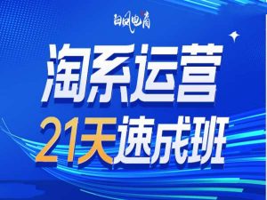 淘系运营21天速成班35期，年前最后一波和2025方向-威云科技 余香的脑洞