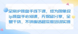 全案IP操盘手线下课，成为现象级ip操盘手必修课，无保留分享，全是干货，不讲废话超深度培训实操-威云科技 余香的脑洞
