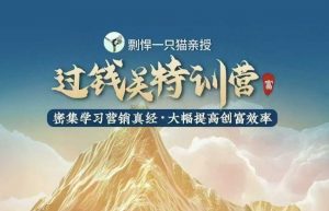 剽悍一只猫-过钱关特训营,学习营销真经 大幅度提高创富效率-威云科技 余香的脑洞