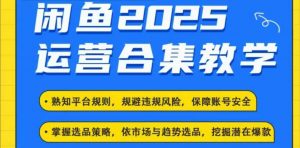 2025闲鱼电商运营全集，2025最新咸鱼玩法-威云科技 余香的脑洞
