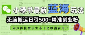小绿书无脑搬运引流，全自动日引500精准创业粉，微信生态内又一个闷声发财的机会-威云科技 余香的脑洞