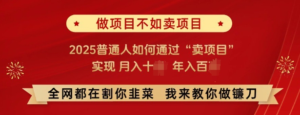 必看，做项目不如卖项目，2025普通人如何通过“卖项目”实现月入十个，年入百个-威云科技 余香的脑洞