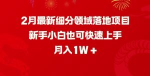 2月最新细分领域落地项目，新手小白也可快速上手，月入1W-威云科技 余香的脑洞