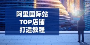 阿里国际站TOP店铺打造教程：涵盖平台到高阶，解决运营难题，提升询盘-威云科技 余香的脑洞