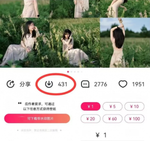 最新图虫搬运项目，收益无上限，利用AI小白也可日赚500+-威云科技 余香的脑洞