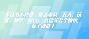 小红书必修课，覆盖电商，无人，获客，种草，mcn，直播等多个板块，看了就能干-威云科技 余香的脑洞