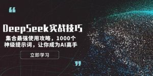 DeepSeek实战技巧：集合最强使用攻略，1000个神级提示词，让你成为AI高手-威云科技 余香的脑洞