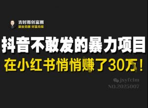 抖音不敢发的暴利项目，在小红书悄悄挣了30W-威云科技 余香的脑洞