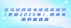 亚马逊跨境电商选品案例(更新2025年3月),跨境电商利基选品-威云科技 余香的脑洞