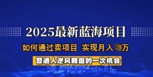2025蓝海项目,普通人如何通过卖项目,实现月入过W,全过程【揭秘】-威云科技 余香的脑洞