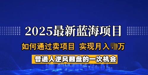 2025蓝海项目，普通人如何通过卖项目，实现月入过W，全过程【揭秘】-威云科技 余香的脑洞