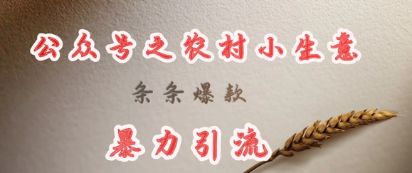 deepseek写农村小项目，条条爆款，暴力引流-威云科技 余香的脑洞