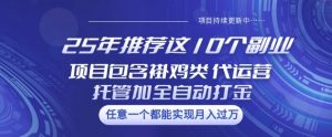 25年推荐这10个副业项目包含褂鸡类、代运营托管类、全自动打金类【揭秘】-威云科技 余香的脑洞