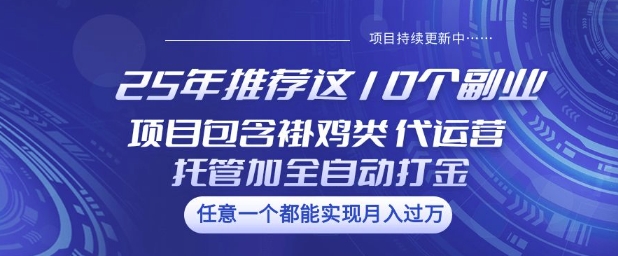 25年推荐这10个副业项目包含褂鸡类、代运营托管类、全自动打金类【揭秘】-威云科技 余香的脑洞