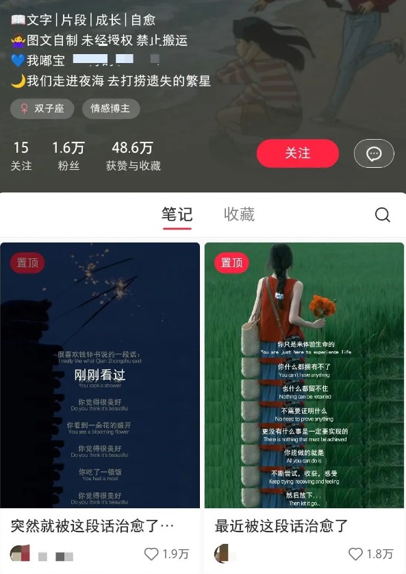 小红书治愈文案图文笔记，零门槛，一分钟制作轻松制作爆款作品月入万元-威云科技 余香的脑洞
