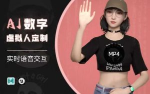 Ai数字人虚拟(智能体)实时语音交互特训营,自行定制超写实角色AI数字人交互技术-威云科技 余香的脑洞