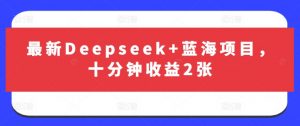 最新Deepseek+蓝海项目，十分钟收益2张-威云科技 余香的脑洞
