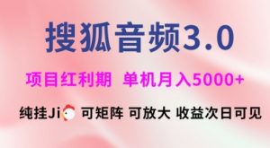 搜狐音频挂ji3.0.可矩阵可放大，独家技术，稳定月入5000+【揭秘】-威云科技 余香的脑洞
