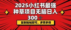 2025小红书最强种草项目，无脑日入300+，复制粘帖即可，多劳多得-威云科技 余香的脑洞