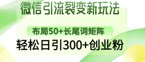 微信引流裂变新玩法：布局50+长尾词矩阵，轻松日引300+创业粉-威云科技 余香的脑洞