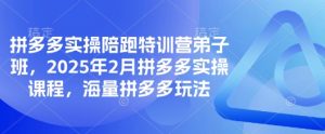 拼多多实操陪跑特训营弟子班，2025年2月拼多多实操课程，海量拼多多玩法-威云科技 余香的脑洞