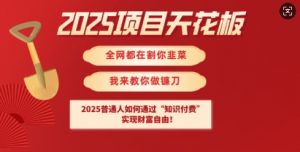 2025项目天花板普通人如何通过知识付费，实现财F自由【揭秘】-威云科技 余香的脑洞