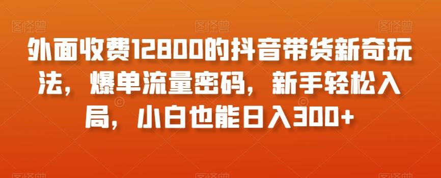 外面收费12800的抖音带货新奇玩法，爆单流量密码，新手轻松入局，小白也能日入300+【揭秘】-威云科技 余香的脑洞