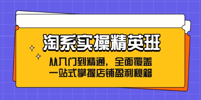 淘系实操精英班：从入门到精通，全面覆盖，一站式掌握店铺盈利秘籍-威云科技 余香的脑洞