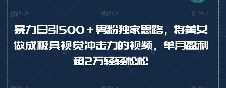暴力日引500＋男粉独家思路，将美女做成极具视觉冲击力的视频，单月盈利超2万轻轻松松-威云科技 余香的脑洞