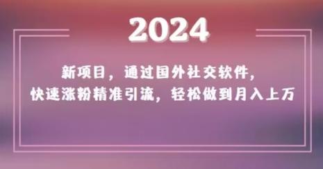 2024新项目，通过国外社交软件，快速涨粉精准引流，轻松做到月入上万【揭秘】-威云科技 余香的脑洞
