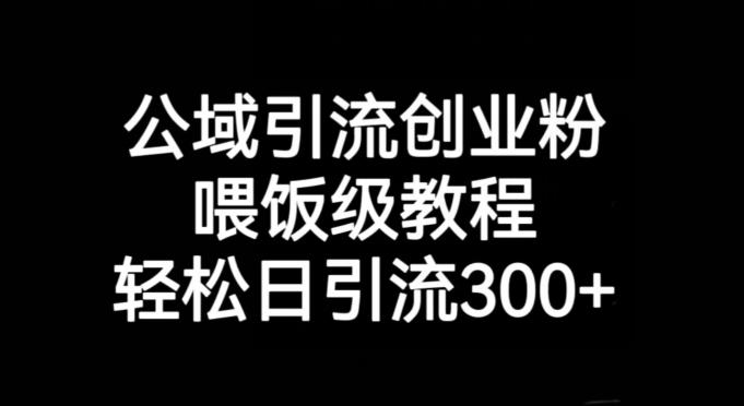 公域引流创业粉，喂饭级教程，轻松日引流300+【揭秘】-威云科技 余香的脑洞