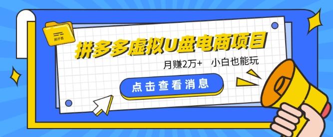 拼多多虚拟U盘电商红利项目：月赚2万+，新手小白也能玩-威云科技 余香的脑洞