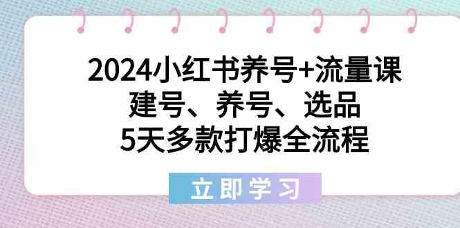 2024小红书养号+流量课：建号、养号、选品，5天多款打爆全流程-威云科技 余香的脑洞